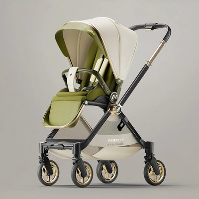 Baby Convertible Reversible Seat Stroller